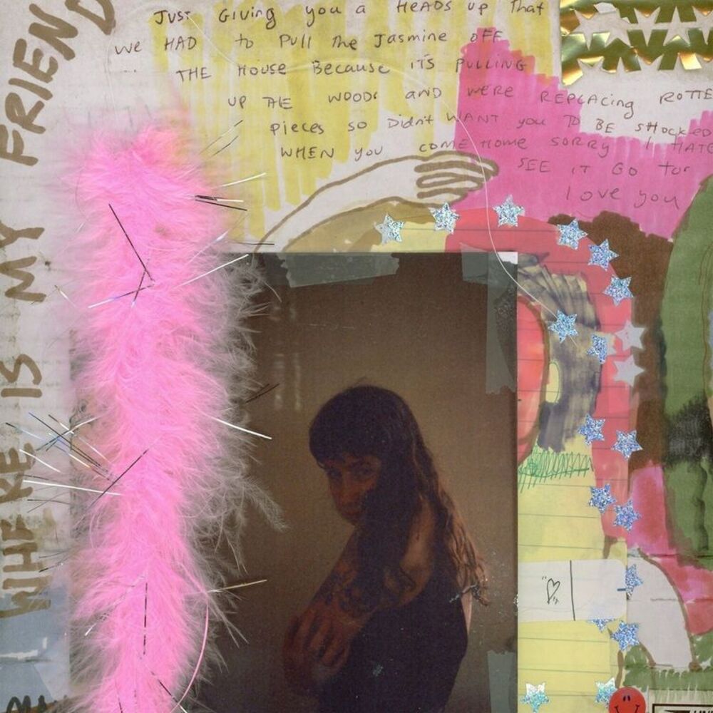 Wednesday - I Was Trying to Describe You to Someone  LP LP